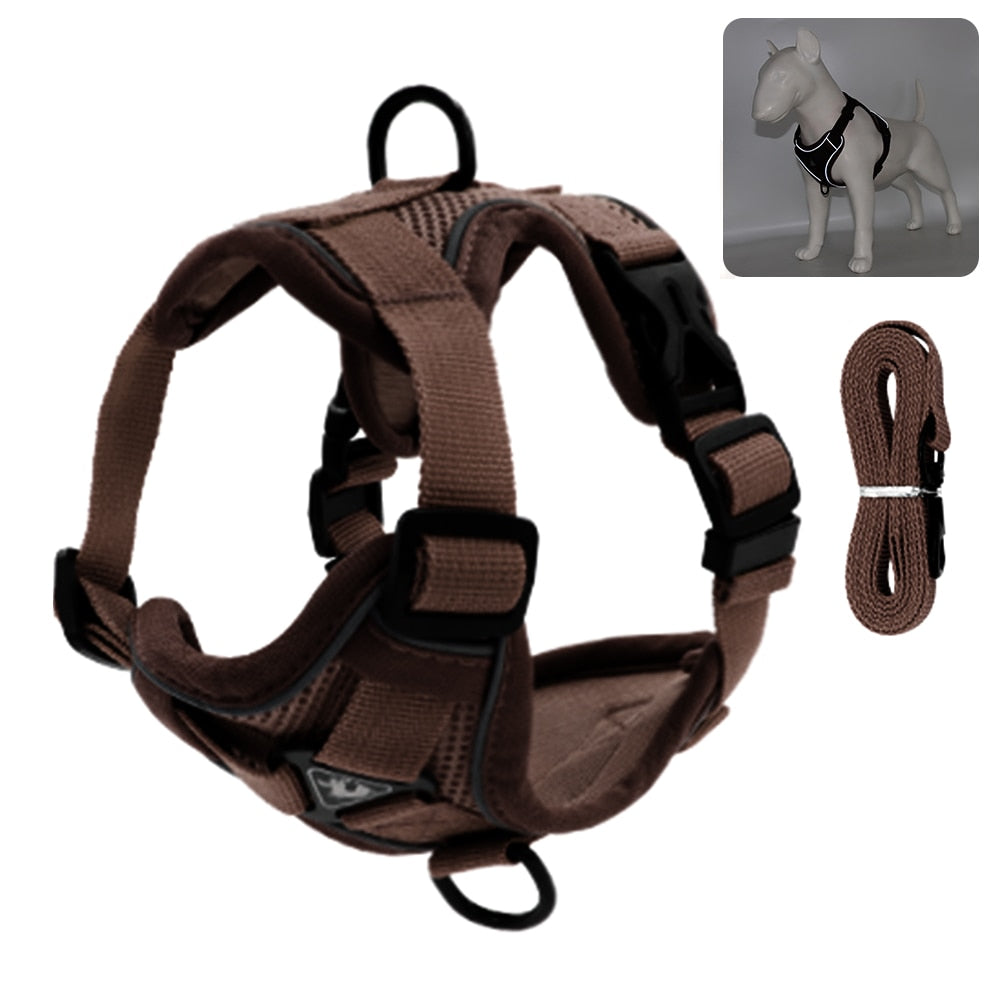 Coleira Para Gatos Para Caminhadas