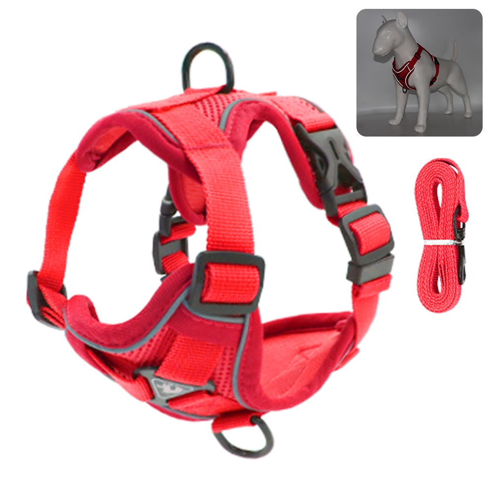 Coleira Para Gatos Para Caminhadas